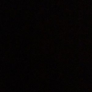 Meet your Posher, Charlee